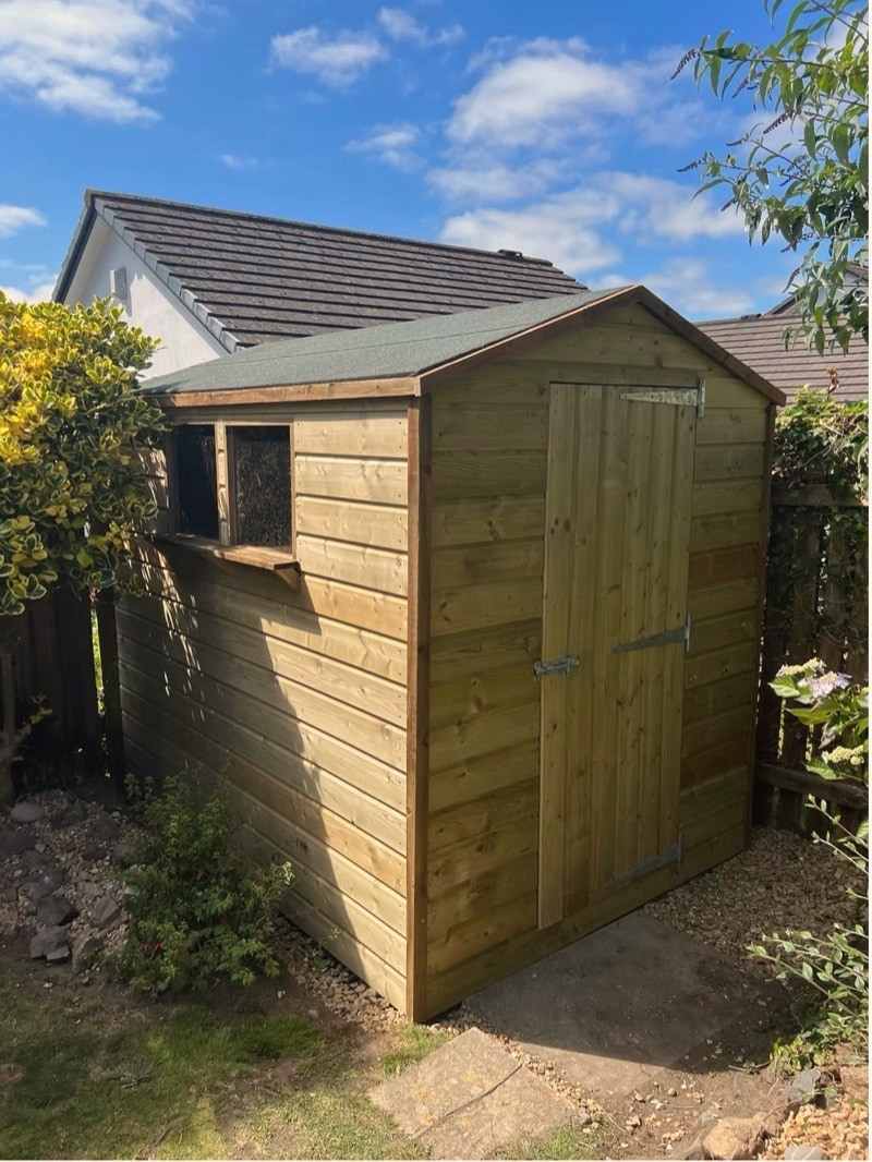 An apex-roof timber shed with a single window in a Cornish garden